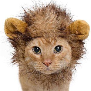 Lion Mane Cat Costume - Brand New in plastic